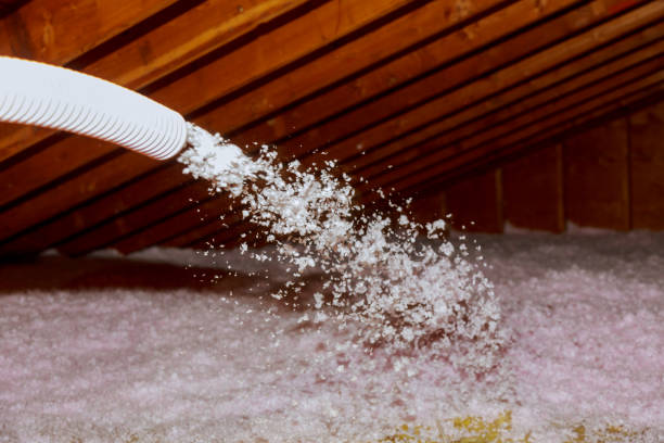 Best Local Insulation Services  in Seat Pleasant, MD